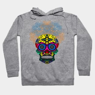 colorful catrina in floral crown ecopop pattern Hoodie